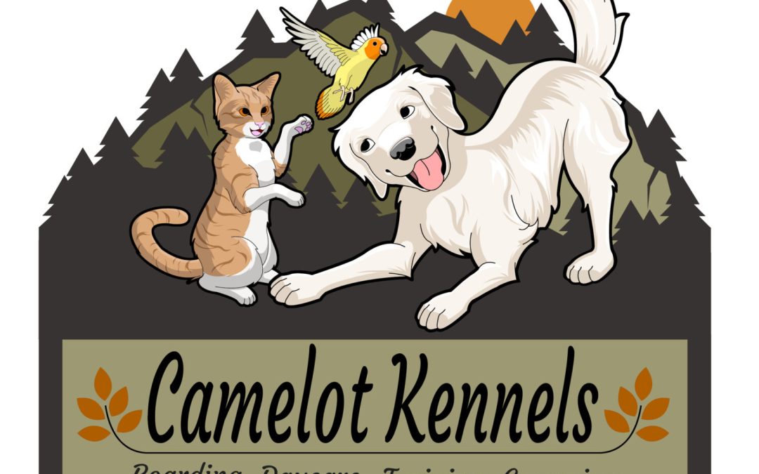 How to Find Long Term Dog Boarding. The Best Questions to Ask a Kennel to Insure the Best Pet Care.
