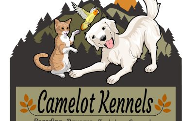 How to Find Long Term Dog Boarding. The Best Questions to Ask a Kennel to Insure the Best Pet Care.