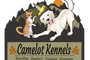 How to Find Long Term Dog Boarding. The Best Questions to Ask a Kennel to Insure the Best Pet Care.