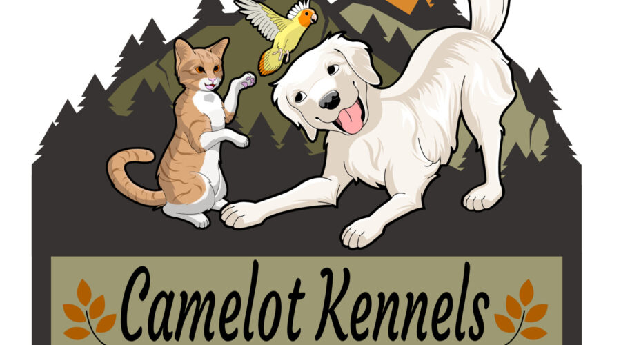 How to Find Long Term Dog Boarding. The Best Questions to Ask a Kennel to Insure the Best Pet Care.