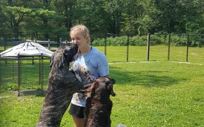 3 Simple Steps to Stop Your Dog From Jumping