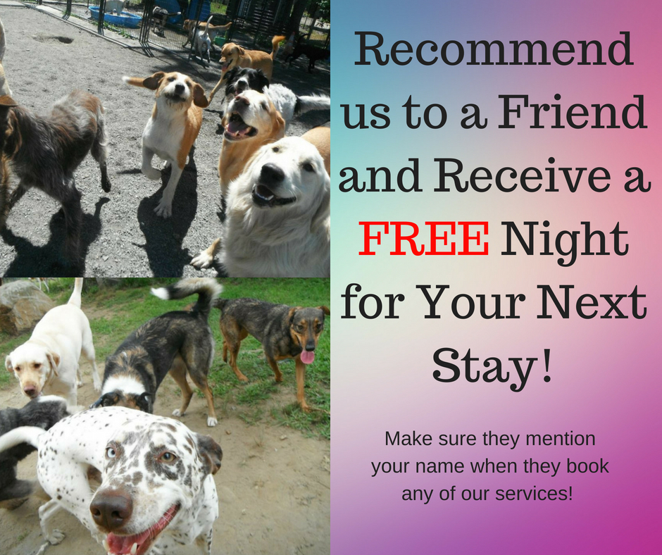 Recommend a Friend get a free night