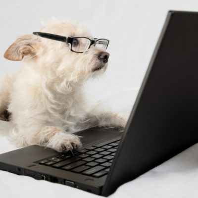 AdobeStock_80992620-min