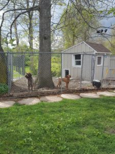 Club House Personal Yard